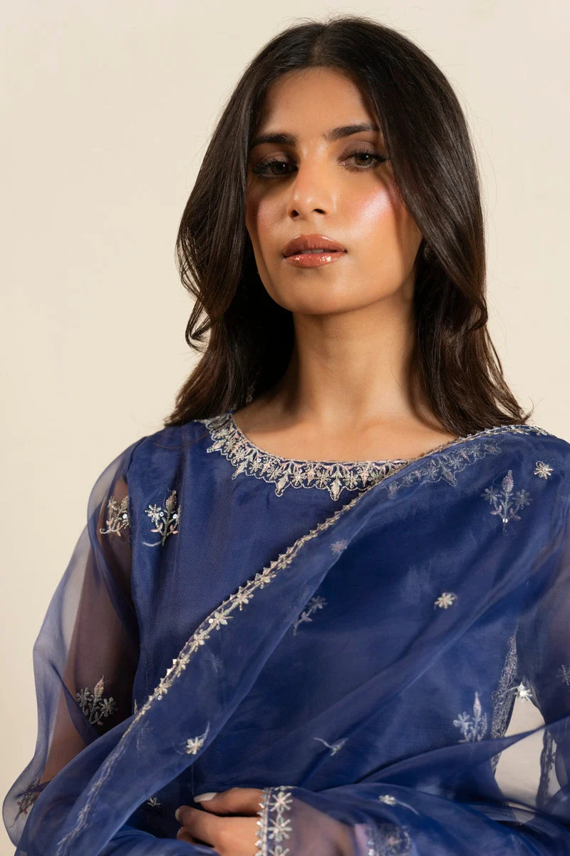Al Karam Stitched Festive FDE2P25-03-191 J(117) - Image 3